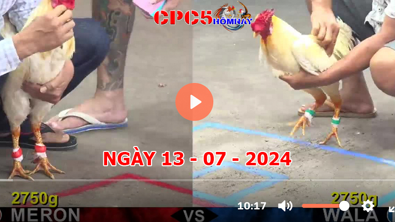 Đá gà trực tiếp C5 ngày 13-7-2024