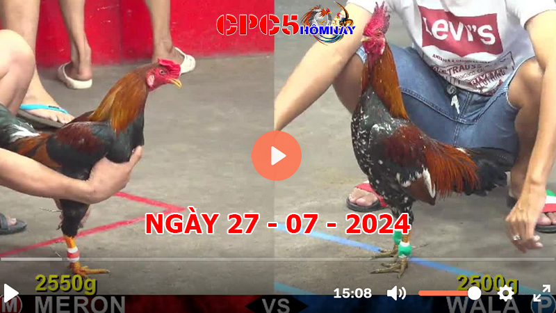 Đá gà trực tiếp C5 ngày 27-7-2024